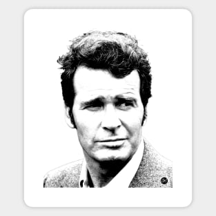 Jim Rockford - Californian detective Magnet